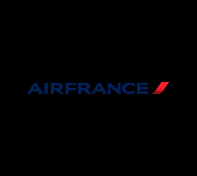 Airline logo