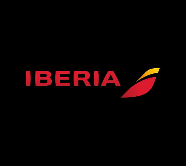Airline logo