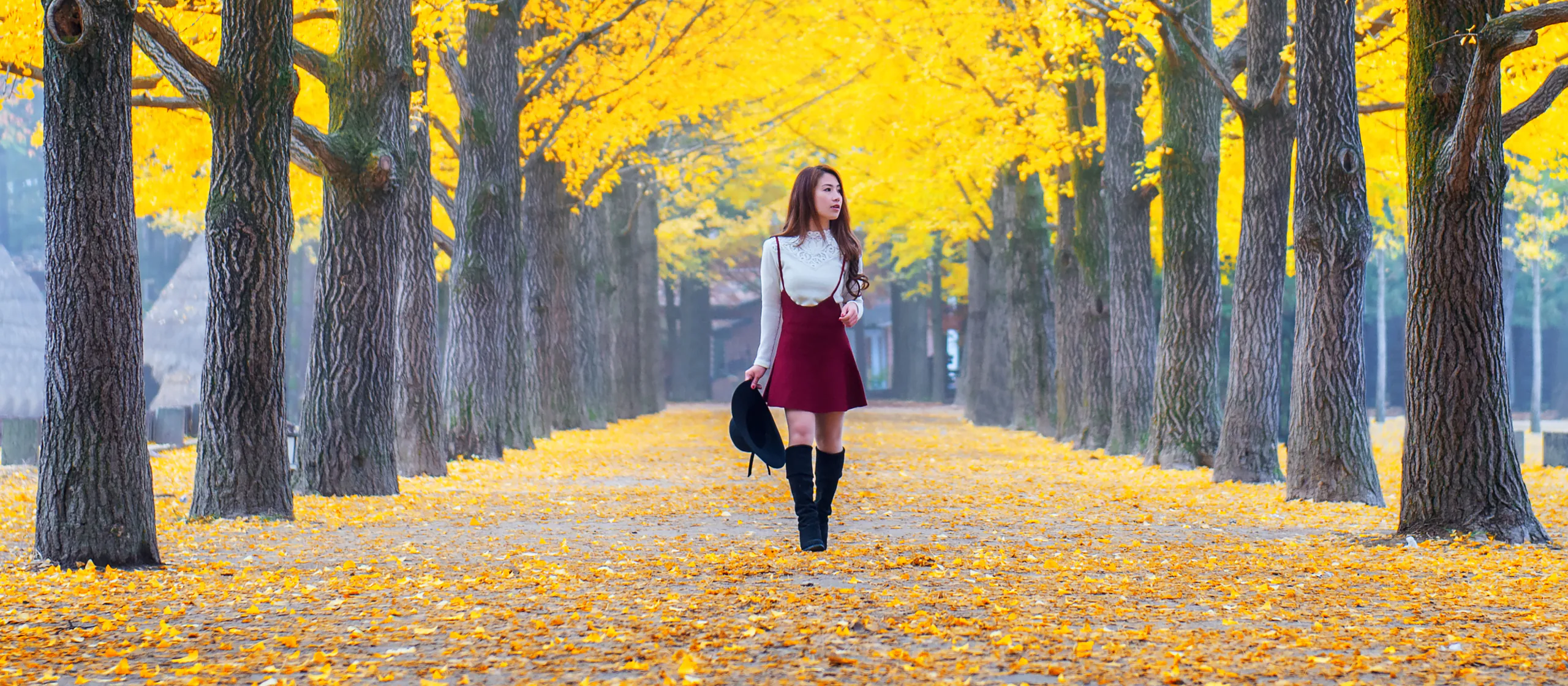 Seoul and Nami Island Tour — 5 Days and 4 Nights package